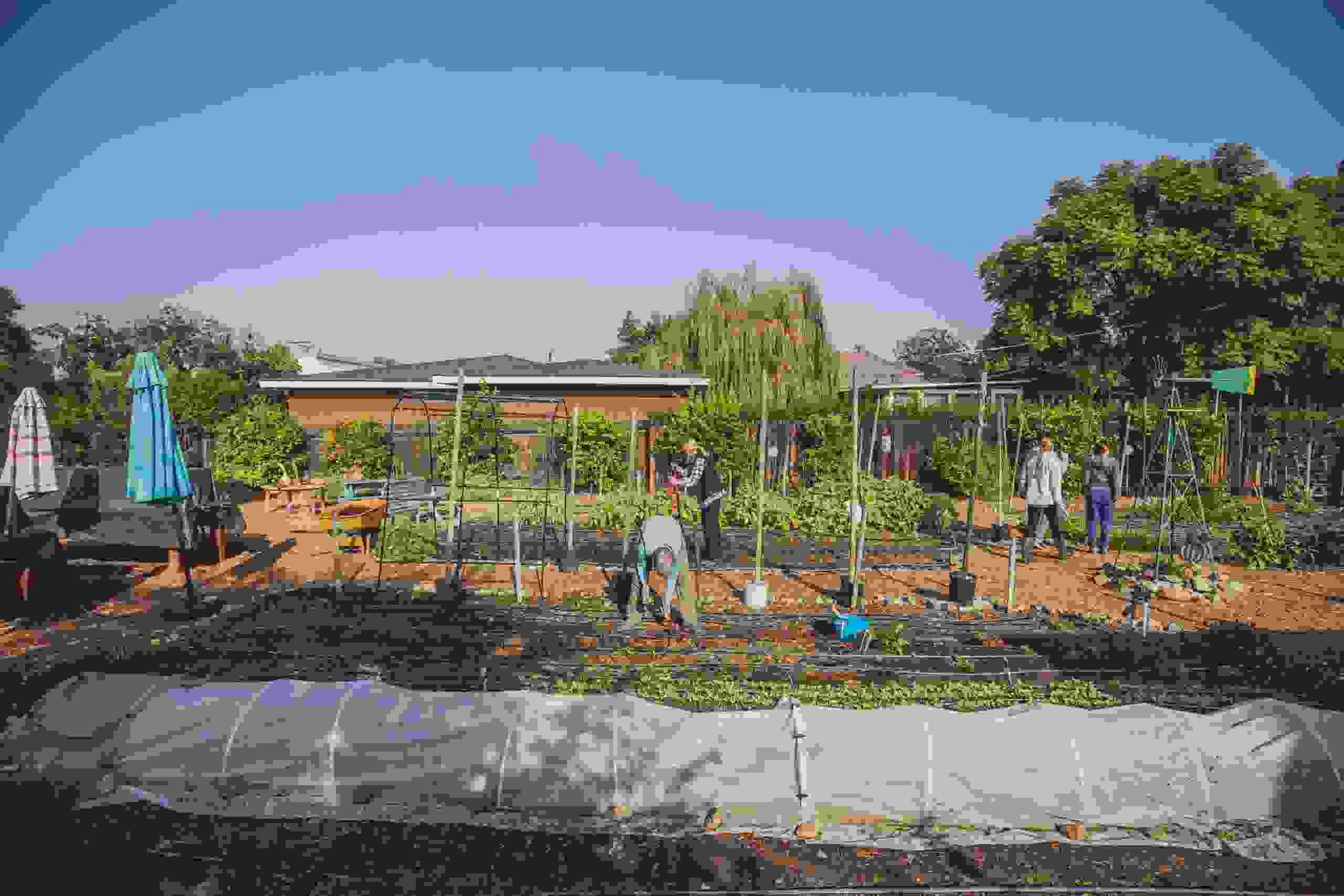 Education Farm Orange Home Grown